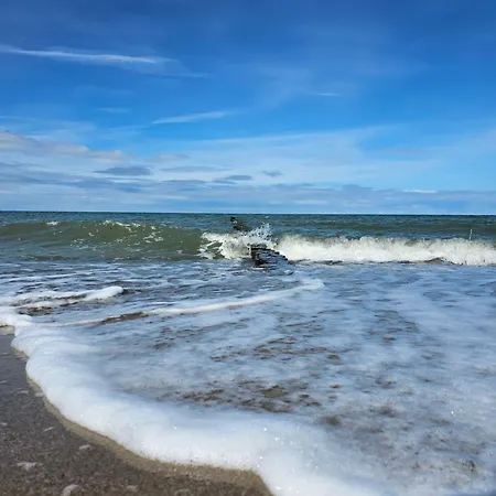 Leinenlos Im Kajueting