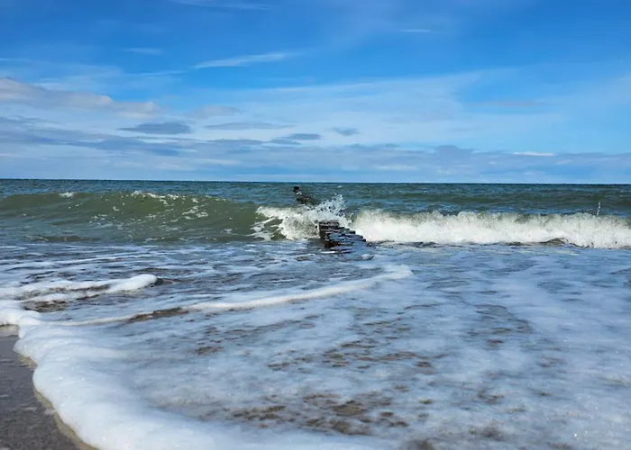Leinenlos Im Kajueting