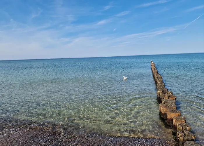 Leinenlos Im Kajueting